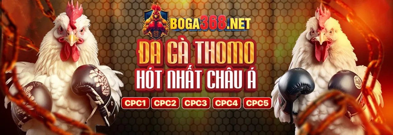 Đá gà trực tuyến Visabet - Đam mê bất tận