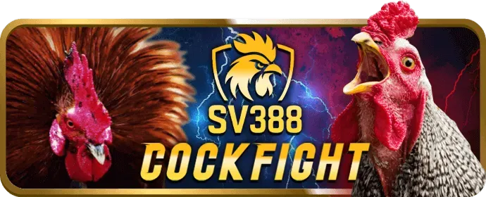 Chương trình VIP độc quyền cho đá gà